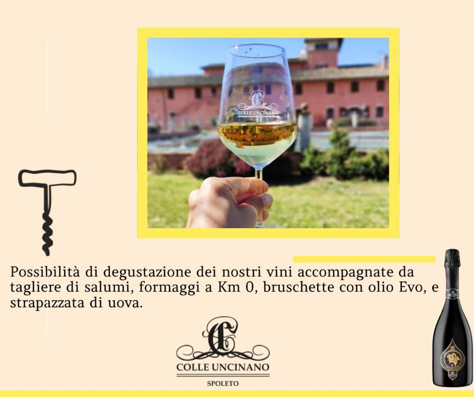 Agriturismo Il Molino Antico - 5 Girasoli スポレート エクステリア 写真