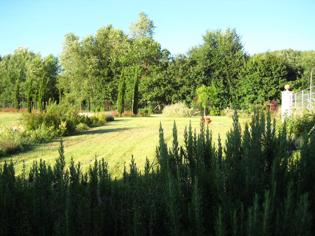 Agriturismo Il Molino Antico - 5 Girasoli スポレート エクステリア 写真